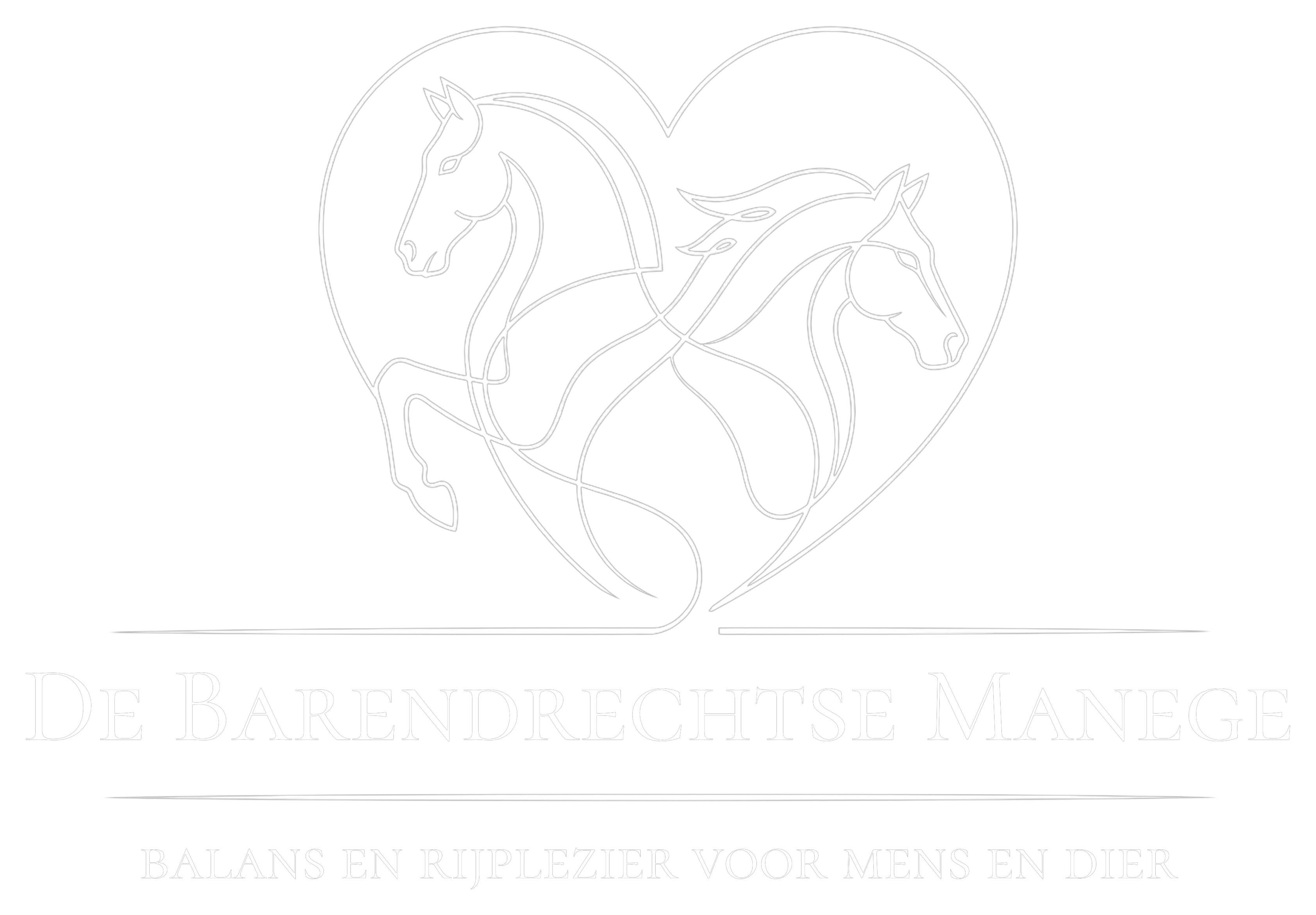 De Barendrechtse Manege — balans en rijplezier voor mens en dier