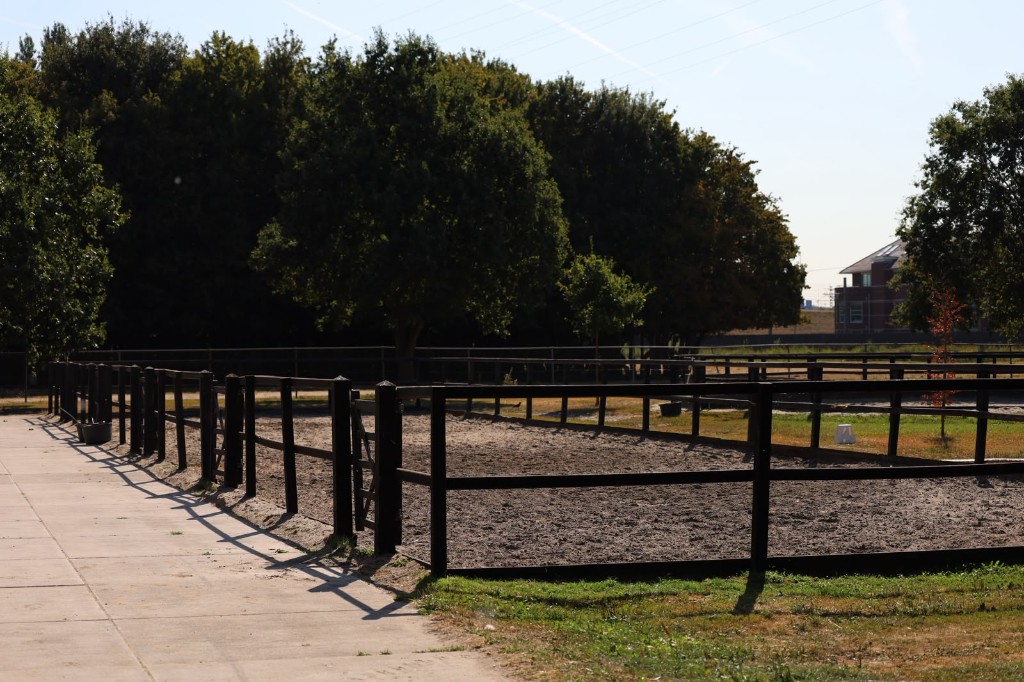 Paddocks met donker hekwerk, zandbodem en een groene bomenrij op het manegeterrein.