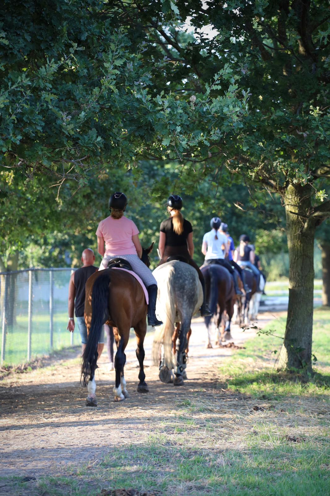 Groep ruiters op buitenrit door de laan tijdens pony- of paardenkamp