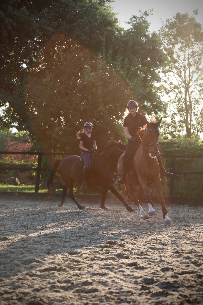 Twee ruiters galopperen op hun paarden in de buitenbak van De Barendrechtse Manege tijdens het sfeervolle avondlicht.