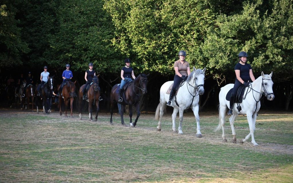 Bosrit vanuit de manege