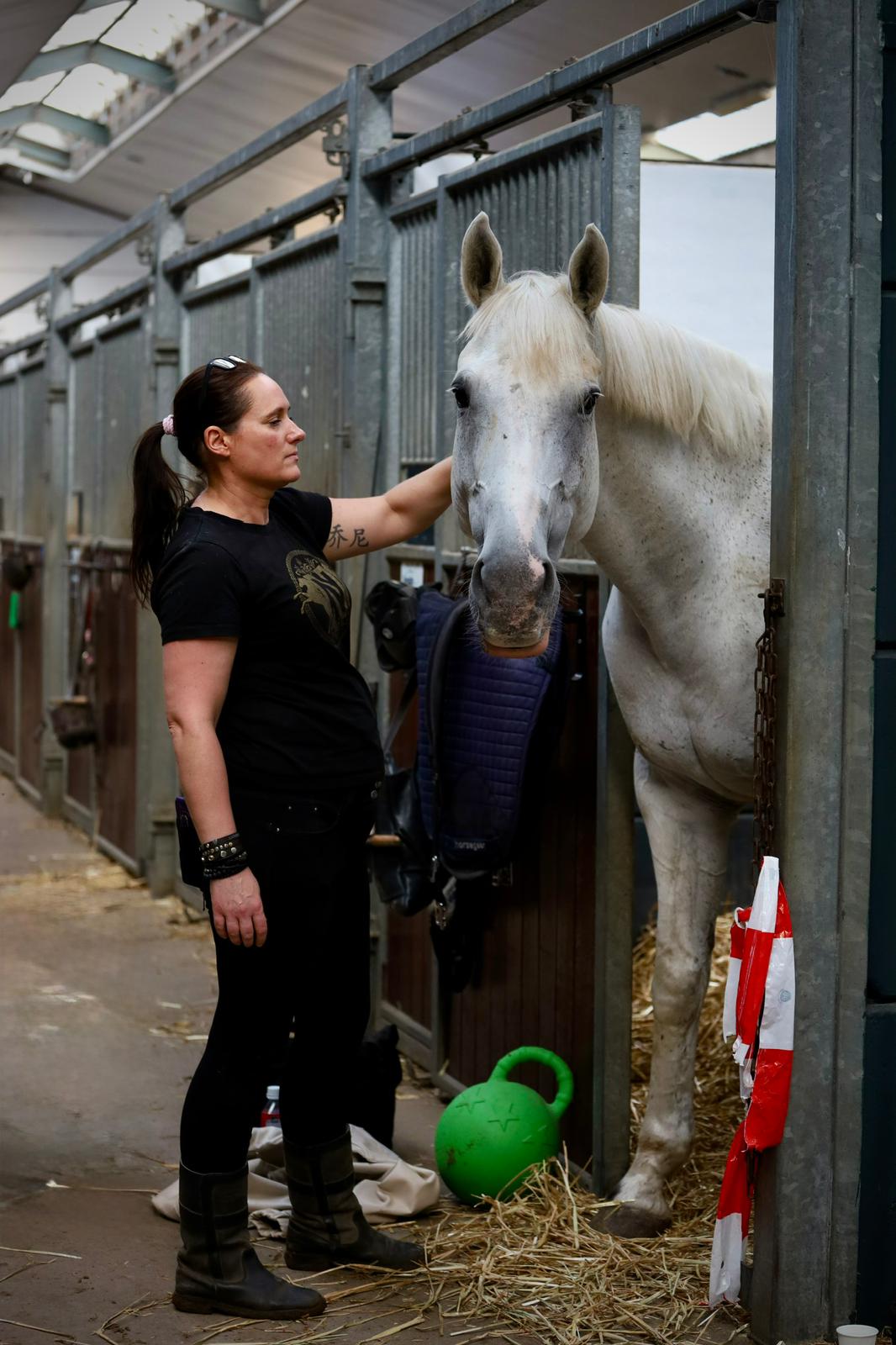 Verzorger aait een wit paard in het stalpad van de pensionstal