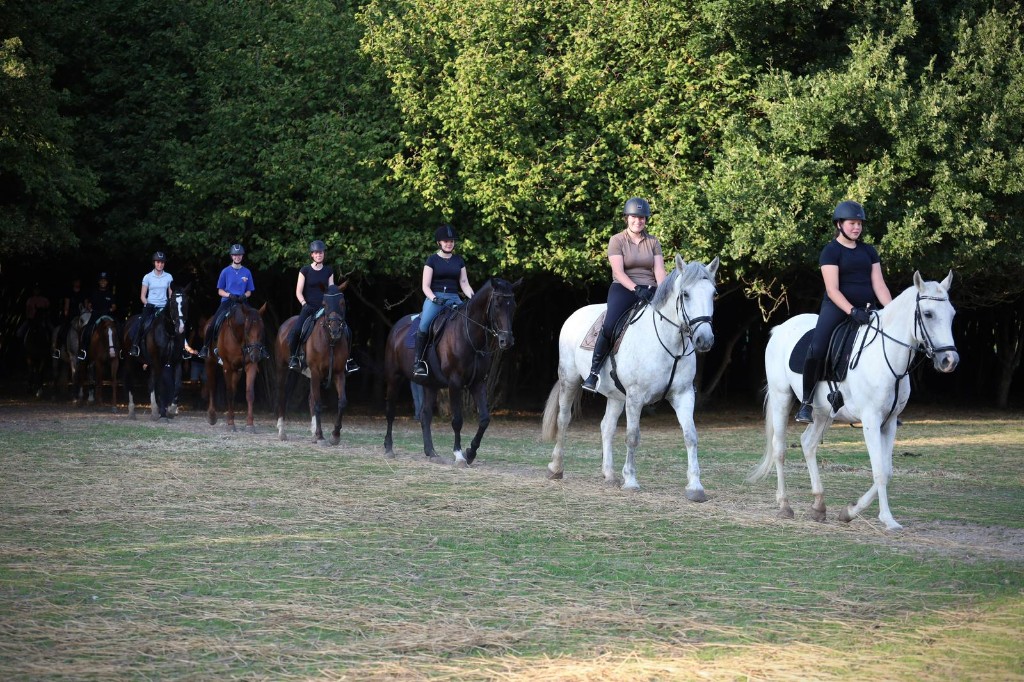 Groep ruiters te paard in het bos bij De Barendrechtse Manege